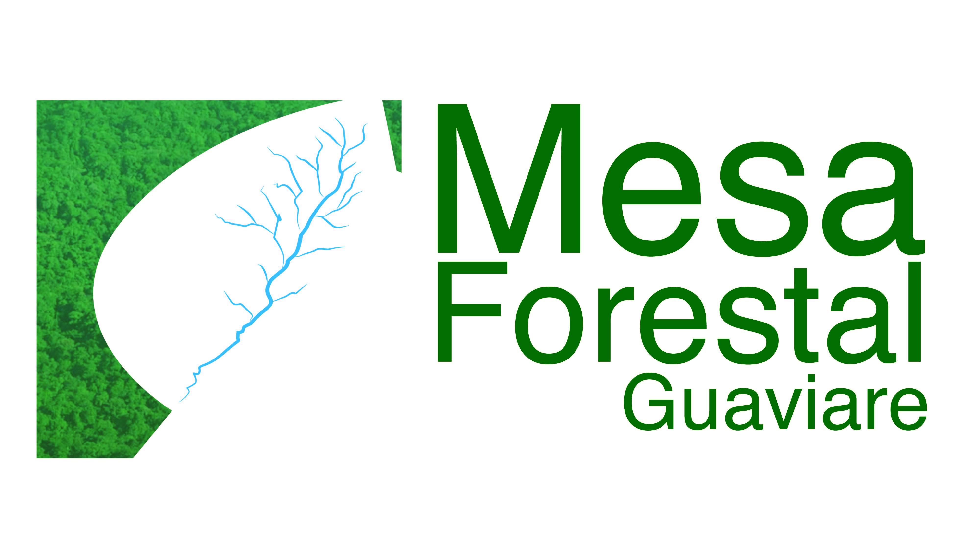 Gráfica alusiva a la noticia Mesa Forestal en la Jurisdicción CDA