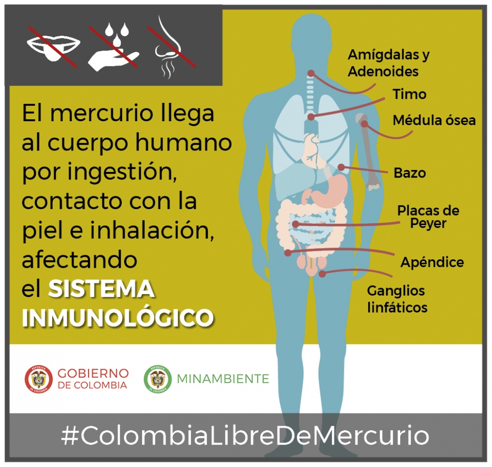 Imagen alusiva a Colombia libre de mercurio 