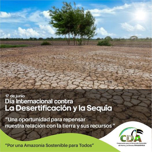 Gráfica alusiva a la noticia El 17 de junio, se celebra el Día Mundial de Lucha contra la Desertificación y la Sequía