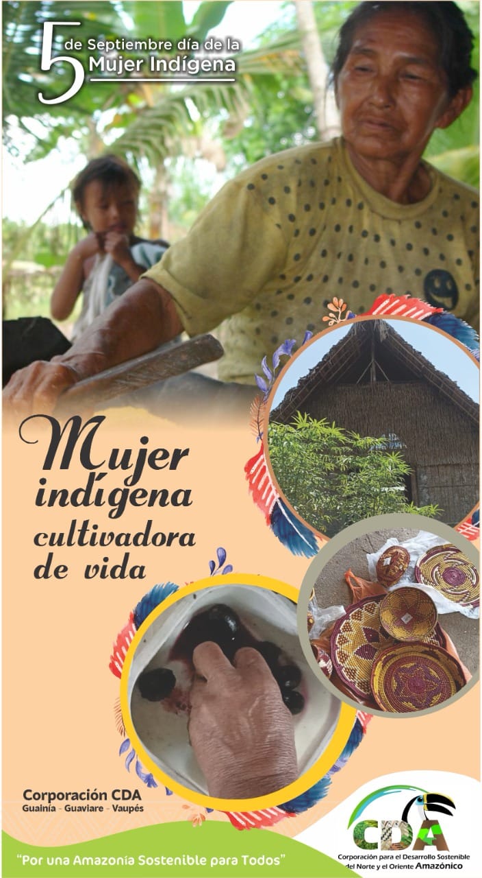 imagen alusiva a  Conmemoración del Día Internacional de la Mujer Indígena