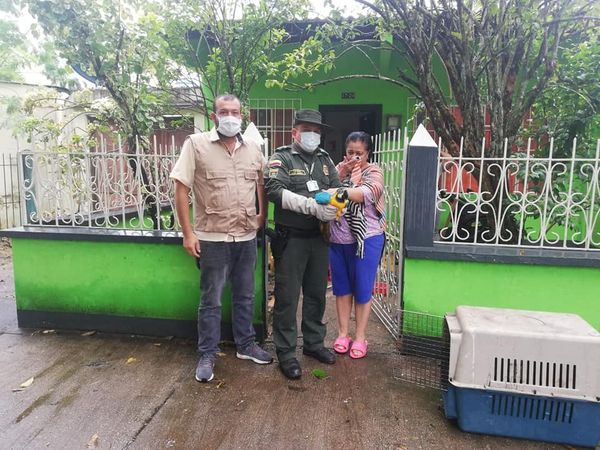 imagen alusiva a  Procedimientos de la CDA en fauna silvestre