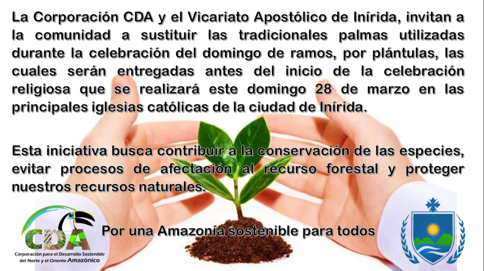imagen alusiva a  Estrategias para la conservación de recursos naturales en Semana Santa