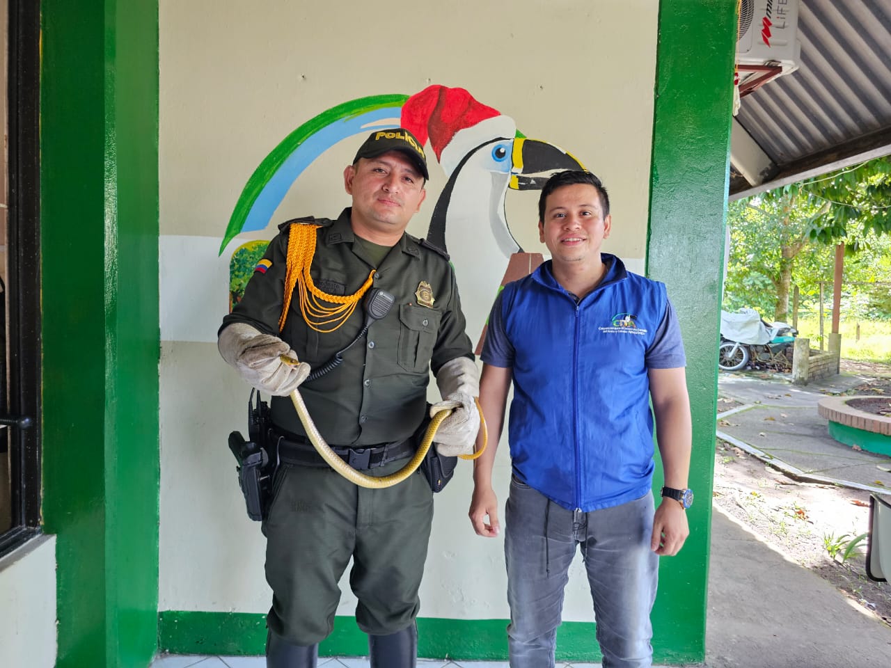 imagen alusiva a  Rescate Serpiente Cazadora
