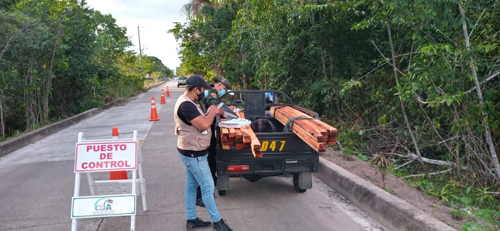 imagen alusiva a  Incautación de madera por la vía que conduce a la Comunidad de Vitina en el departamento del Guainía