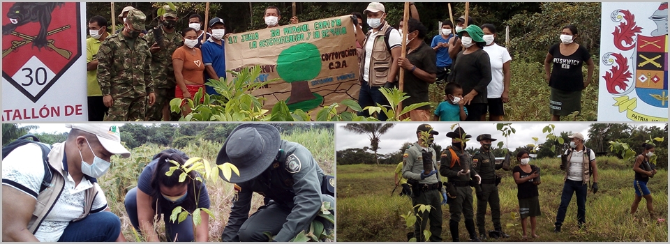 imagen alusiva a  Jornada Reforestación Comunidad de Cucura en el marco DIA MUNDIAL CONTRA LA DESERTIFICACIÓN Y LA SEQUÍA