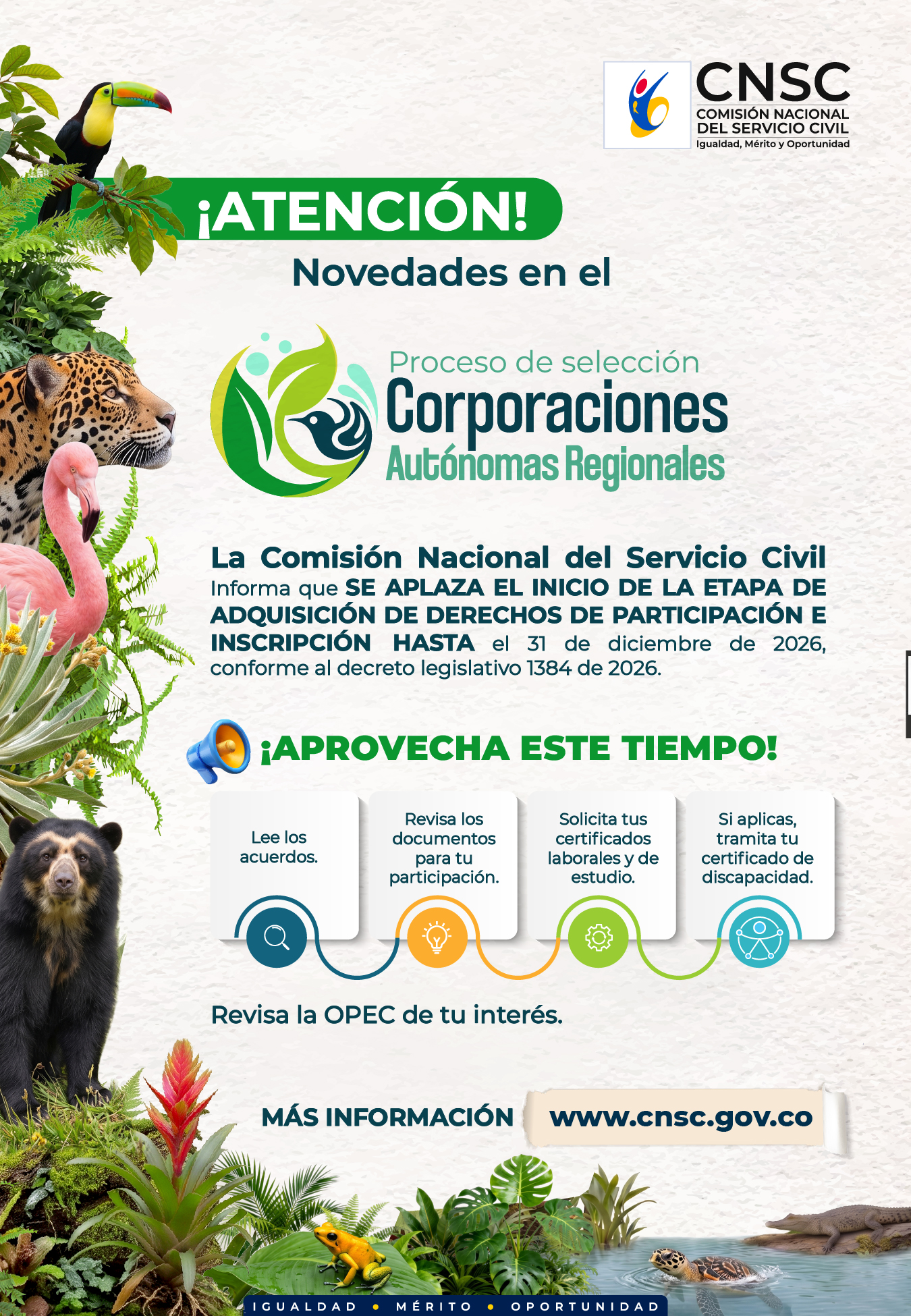 Gráfica alusiva a Proceso de Selección Corporaciones Autónomas Regionales 