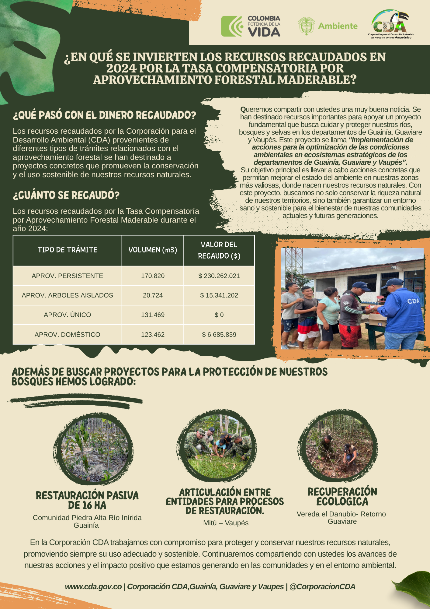 Imagen alusiva a ¿En que se invieren los recursos recaudados en 2024 por la tasa compensatoria por aprovechamiento forestal maderable?