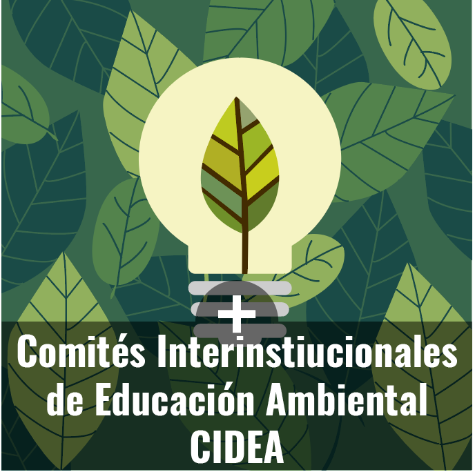 gráfica alusiva a Comités Interinstiucionales de Educación Ambiental CIDEA