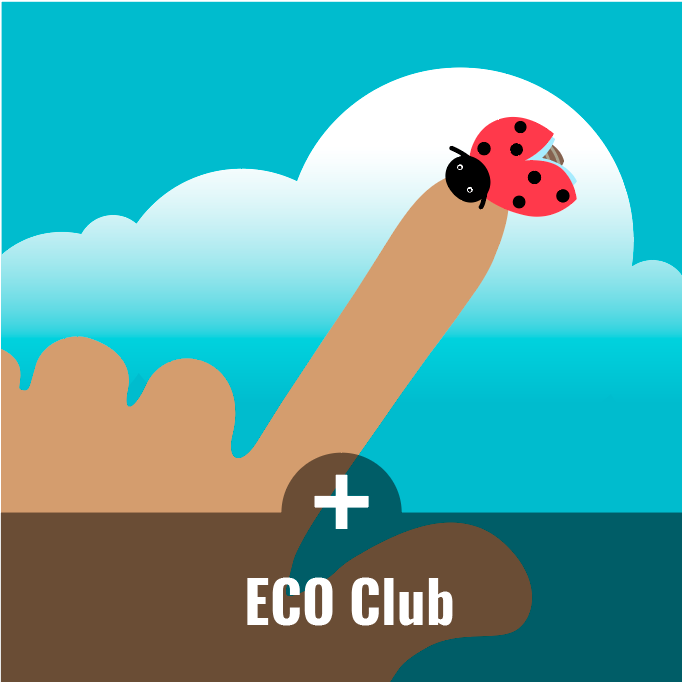 gráfica alusiva a Eco Club